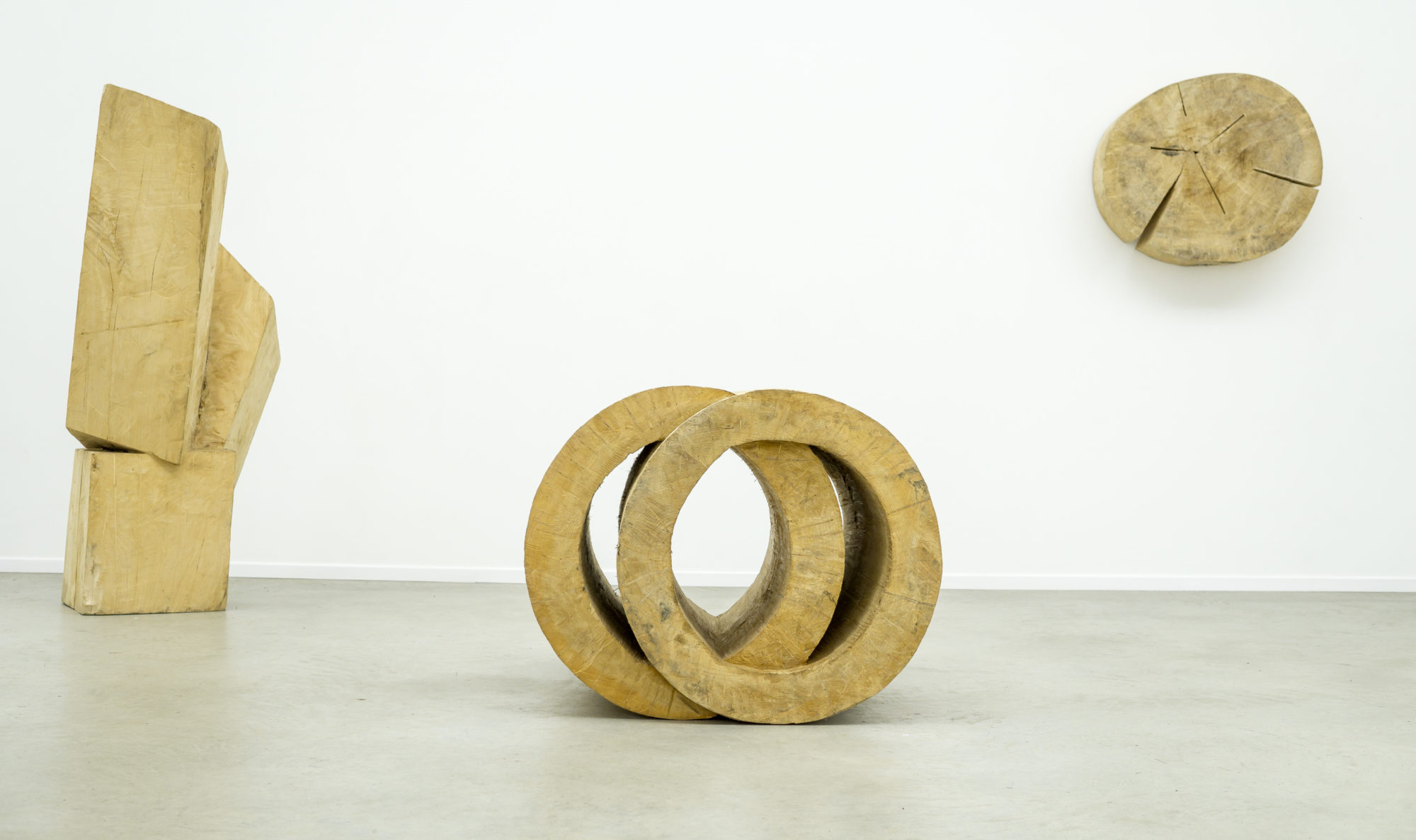 Ausstellungen Rudolf Wachter